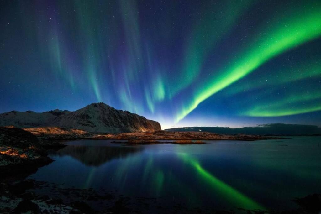 Villa Borgvag - A Unique Seafront Villa In The Heart Of Lofoten Bostad Exteriér fotografie