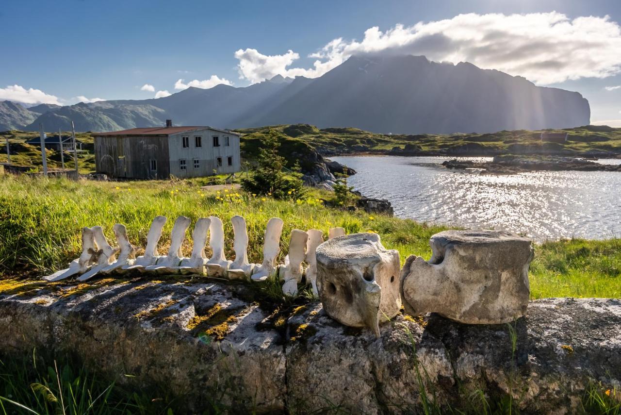 Villa Borgvag - A Unique Seafront Villa In The Heart Of Lofoten Bostad Exteriér fotografie