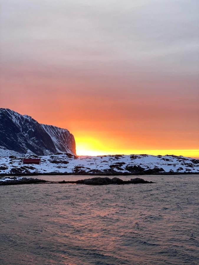 Villa Borgvag - A Unique Seafront Villa In The Heart Of Lofoten Bostad Exteriér fotografie